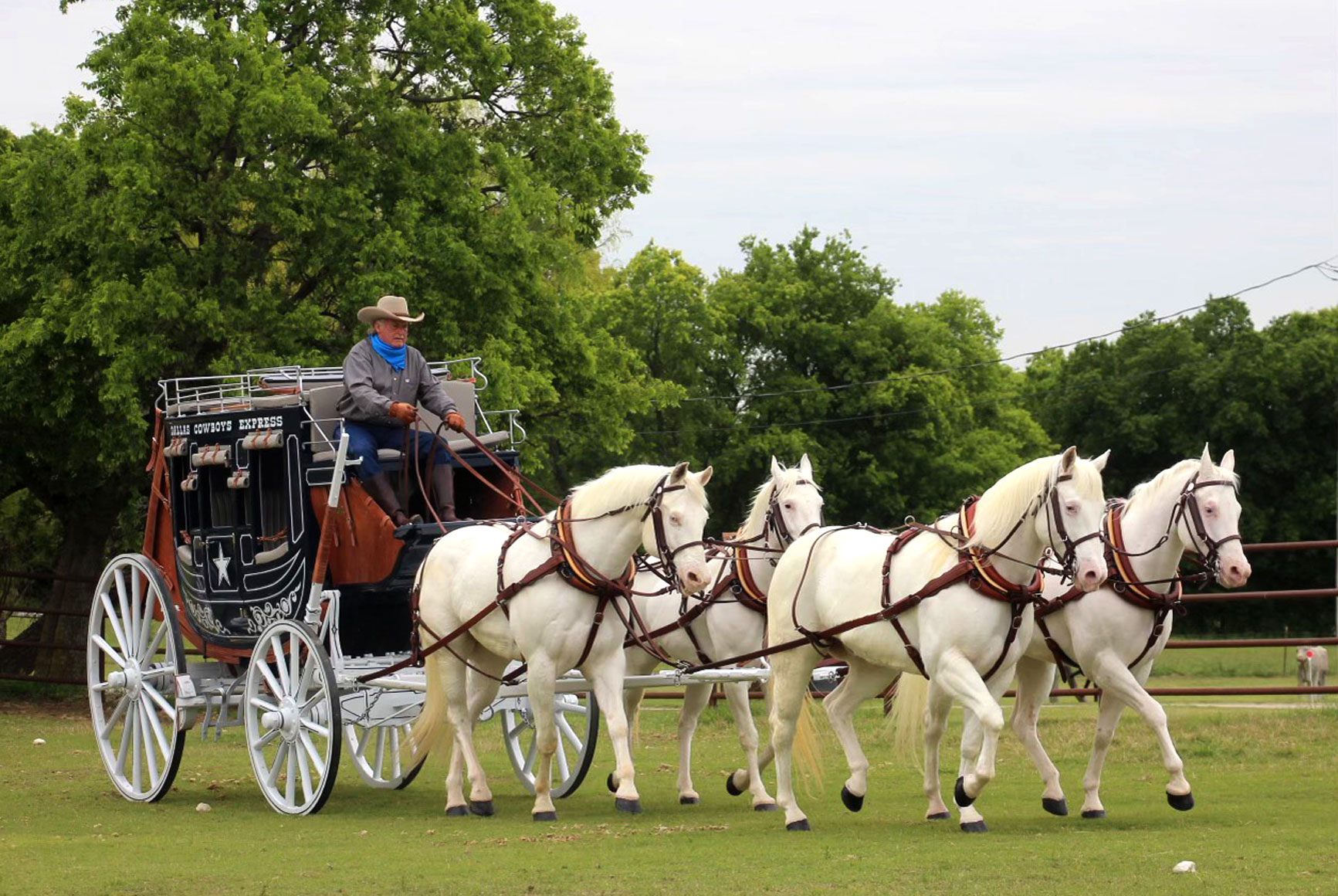 Dallas Cowboy's Concord Stagecoach